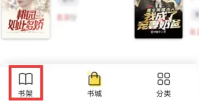 飯團(tuán)追書(shū)舊版本 截圖20