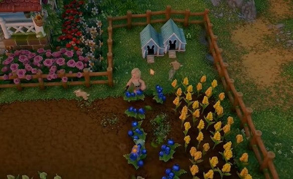 露玛岛正版 截图1