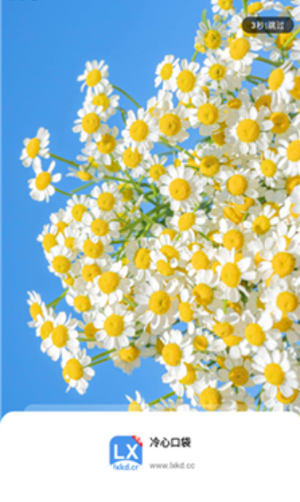 冷心口袋2026最新版 1