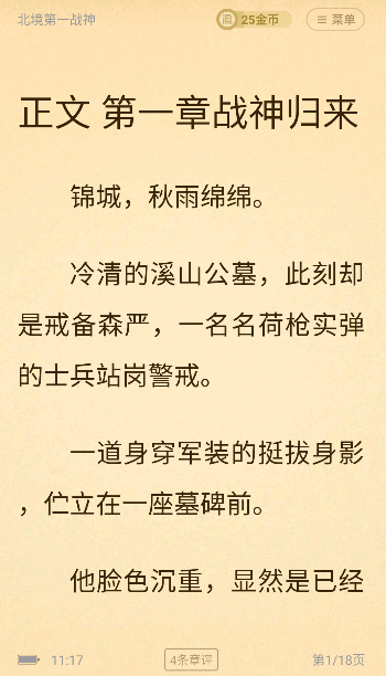 飯團(tuán)追書(shū)舊版本 截圖13