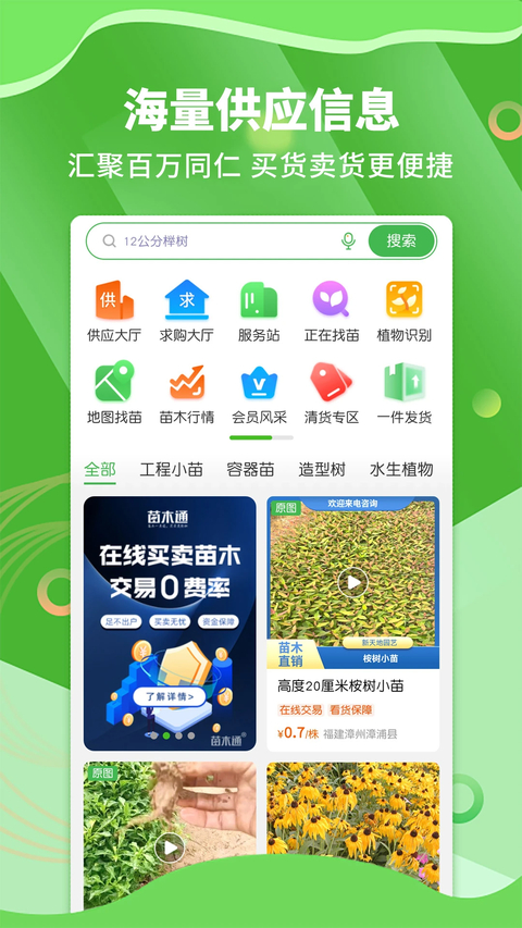 苗木通 截图3