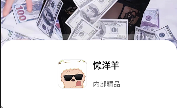 懒洋羊软件库 1