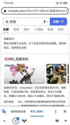 Lemur瀏覽器 截圖2