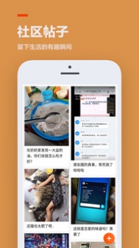 233樂園無廣告版 截圖3