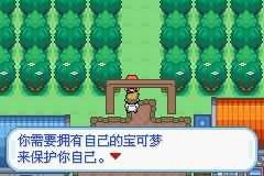 口袋妖怪梦的光点中文版 截图2