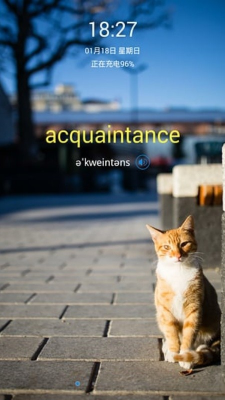 单词锁屏 截图3