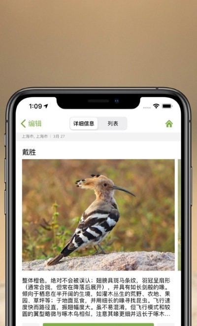 Merlin鳥種鑒定 截圖2