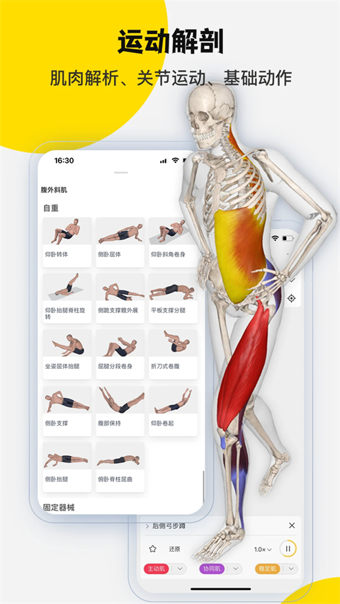 3dbody解剖 截图1