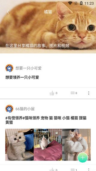 握爪宠物 截图2