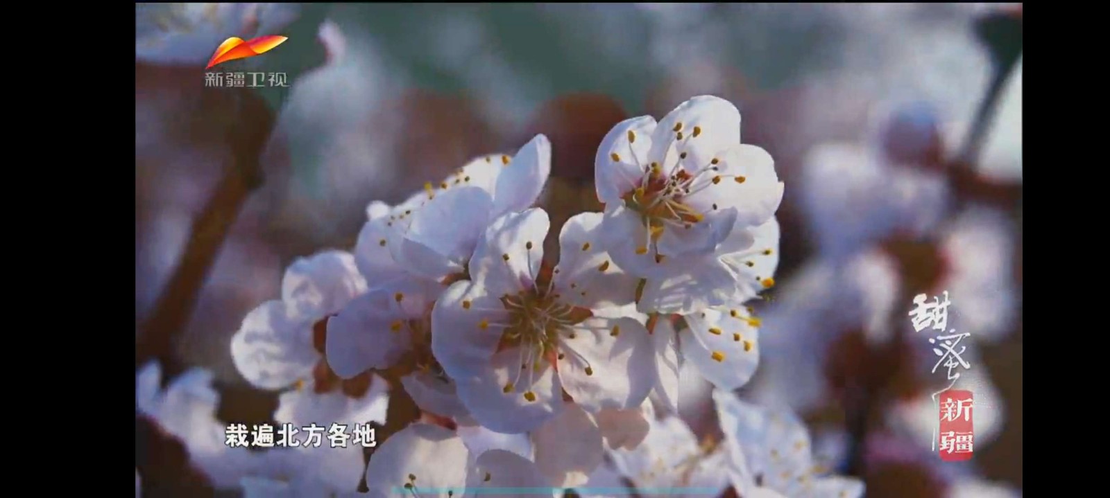 HTV電視手機版 截圖3