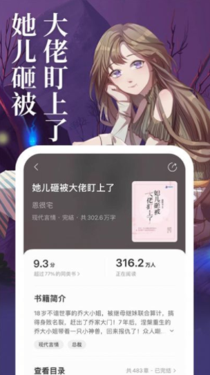 琅阅小说 1