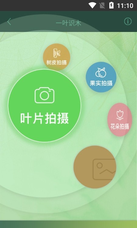 一叶识木 截图3