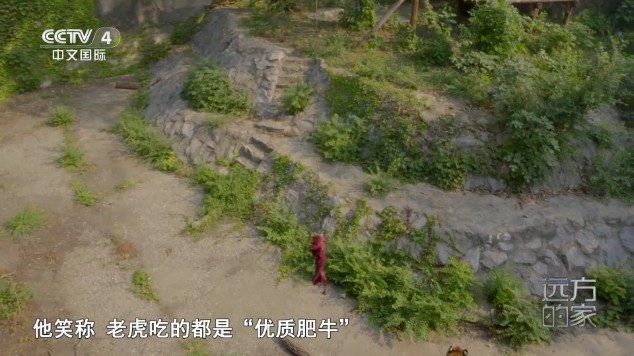 频道多多最新版本 截图4