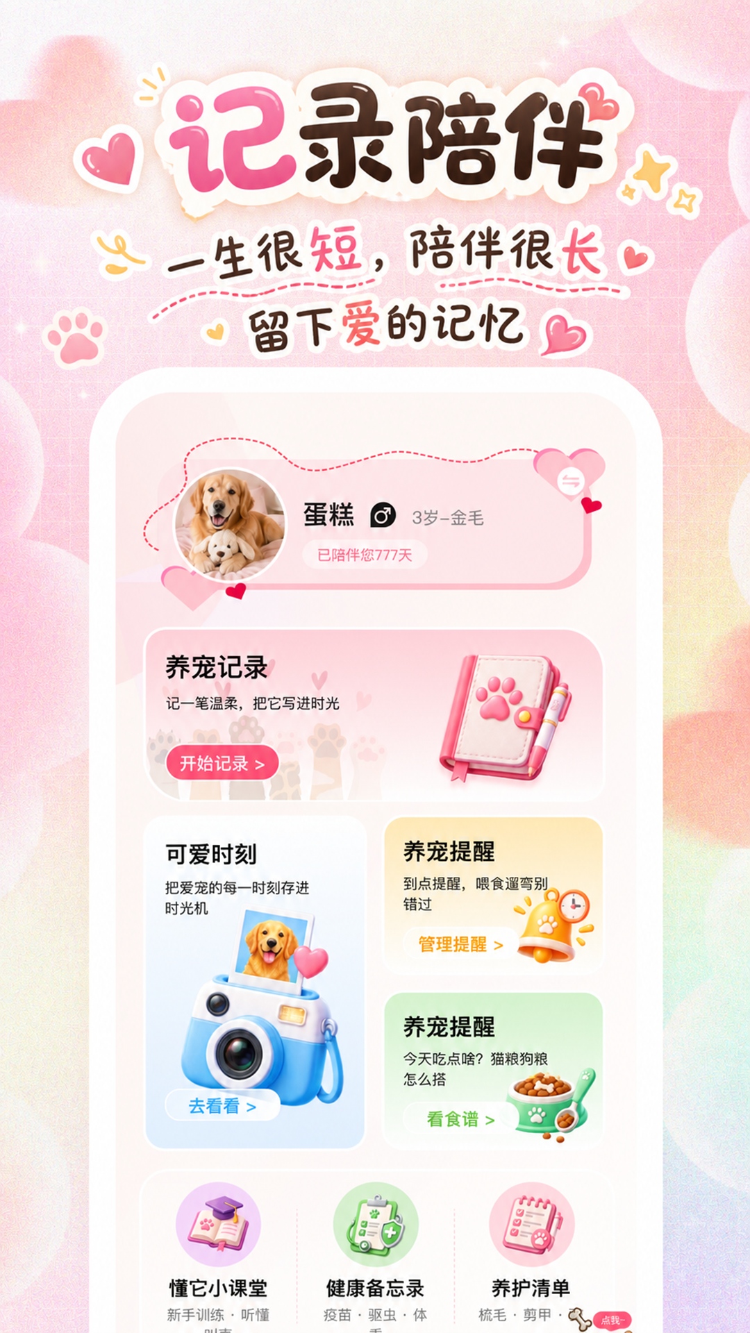 宠迹点点 1