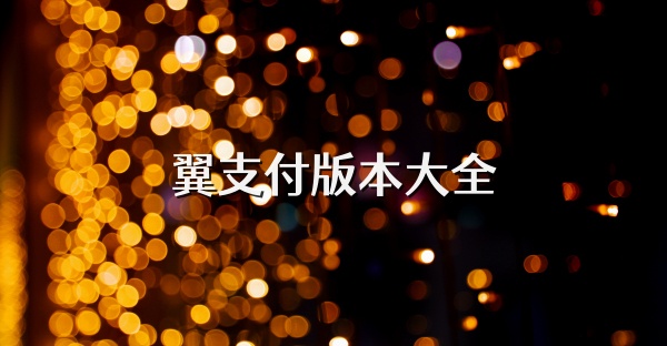 翼支付版本大全