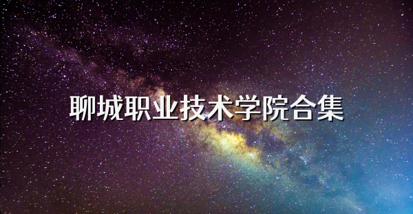 聊城職業技術學院合集