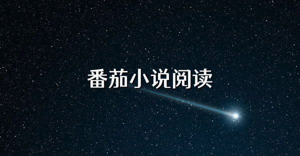 番茄小说阅读