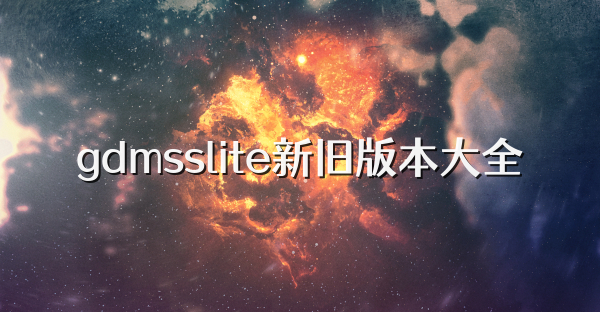 gdmsslite新旧版本大全