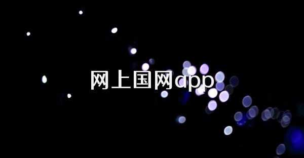 網上國網app
