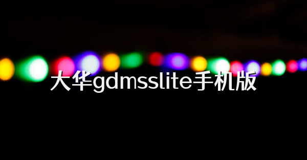 大华gdmsslite手机版