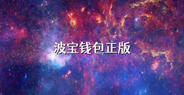 波寶錢包正版