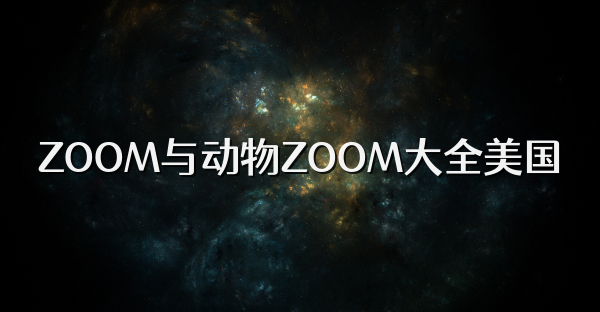 ZOOM与动物ZOOM大全美国