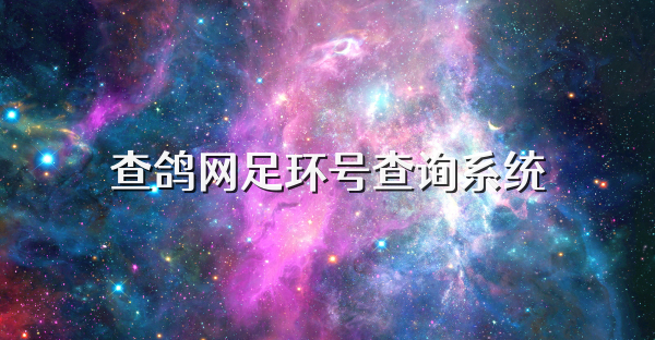 查鸽网足环号查询系统