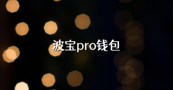 波寶pro錢包