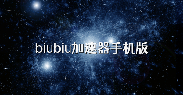 biubiu加速器手机版