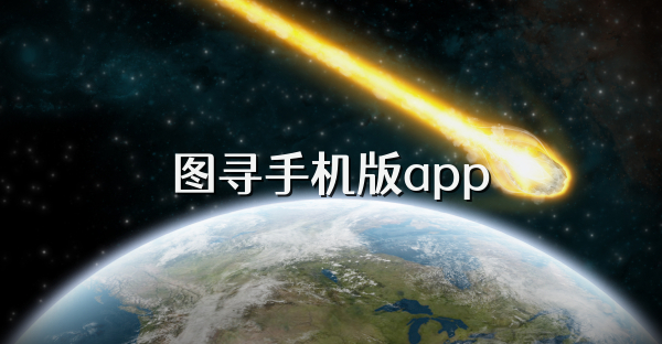 图寻手机版app