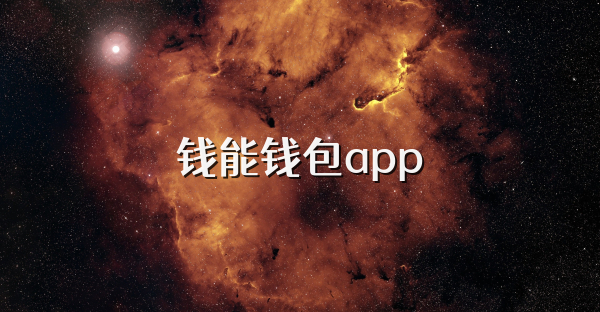 钱能钱包app