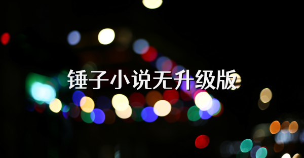 锤子小说无升级版