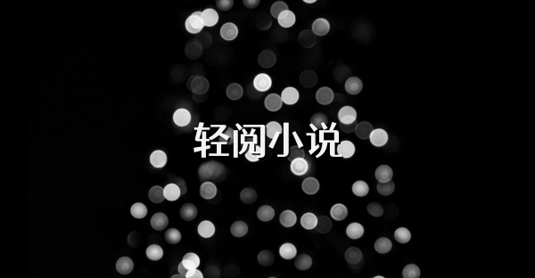 轻阅小说