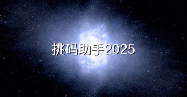 挑码助手2025