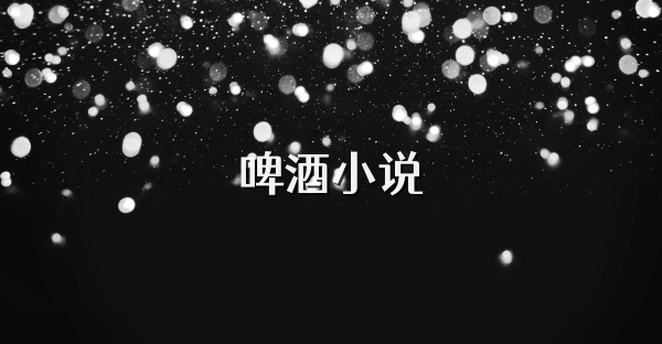 啤酒小说