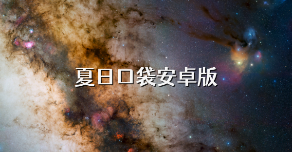 夏日口袋安卓版