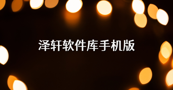 泽轩软件库手机版