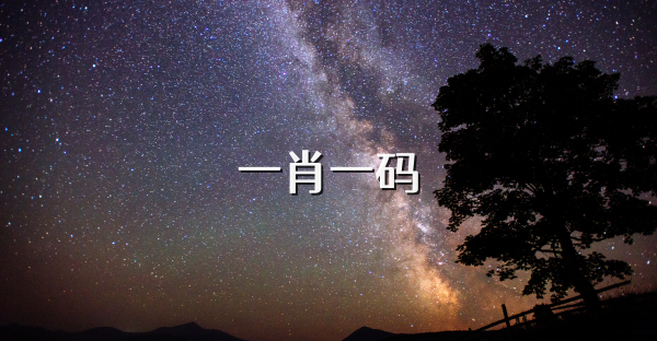 一肖一码