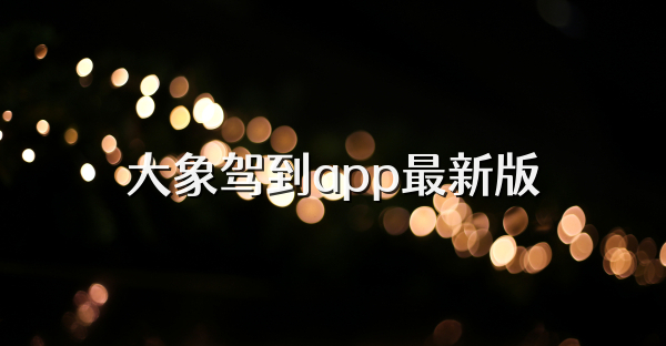 大象驾到app最新版