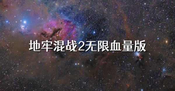 地牢混战2无限血量版