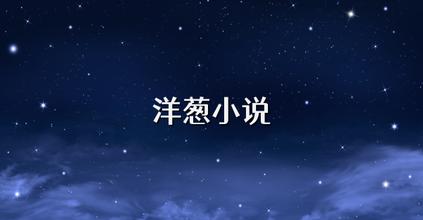 洋葱小说