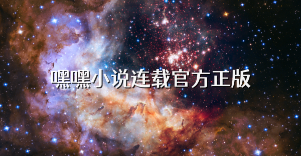 嘿嘿小說連載官方正版