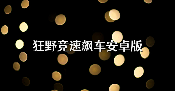 狂野竞速飙车安卓版