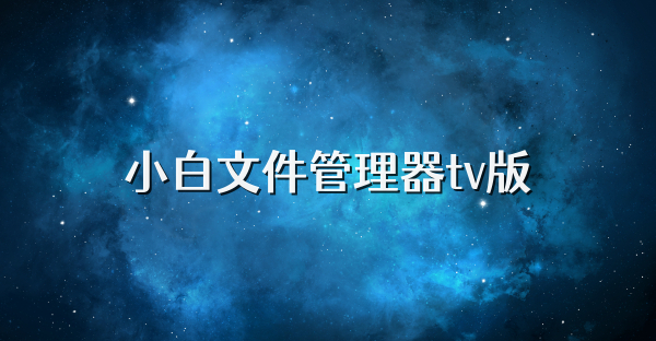 小白文件管理器tv版