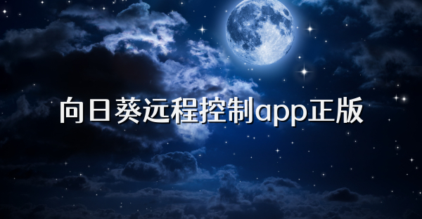 向日葵远程控制app正版