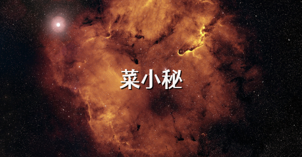 菜小秘