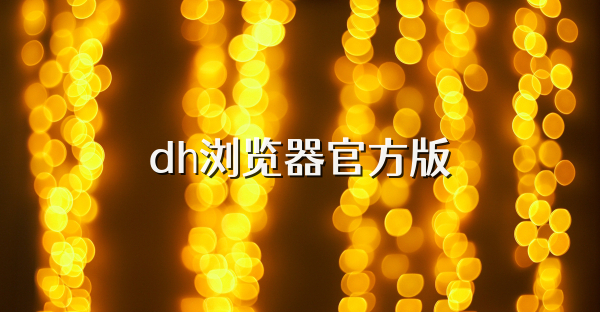 dh浏览器官方版