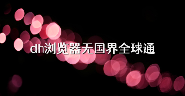 dh浏览器无国界全球通