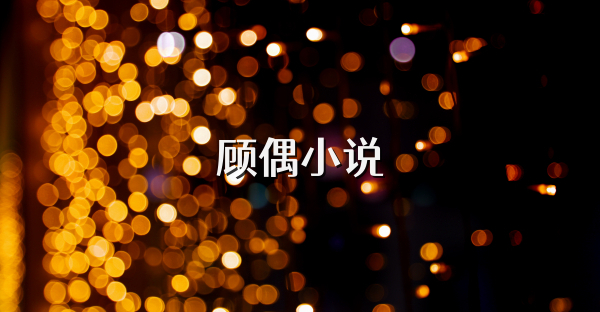 顧偶小說