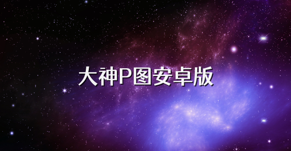 大神P图安卓版